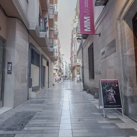 Cosy Flat With Private Balcony - Historic Center By Rems Malaga